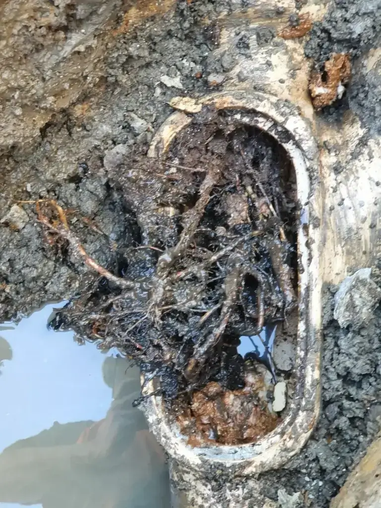 Blocked Pipes