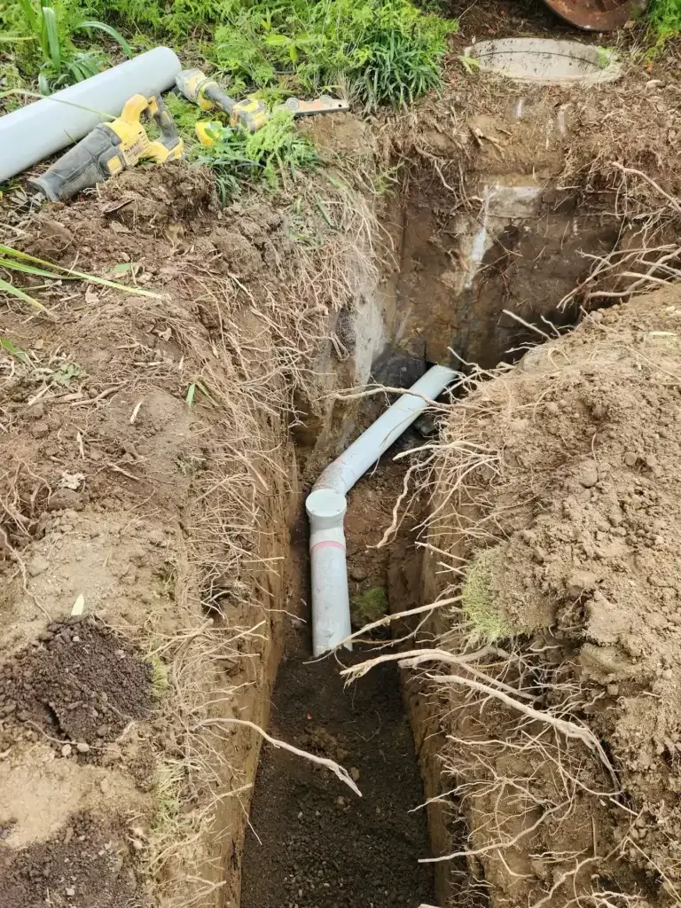 Drain Replacement
