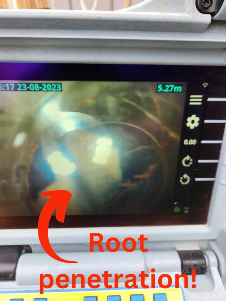 Root Penetration Pipe